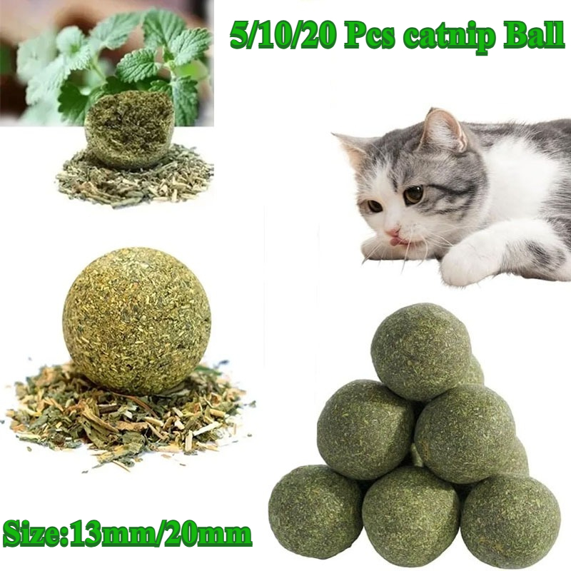 Catnip Toys - 5/10/20Pcs Natural Catnip Balls Kitten Cat