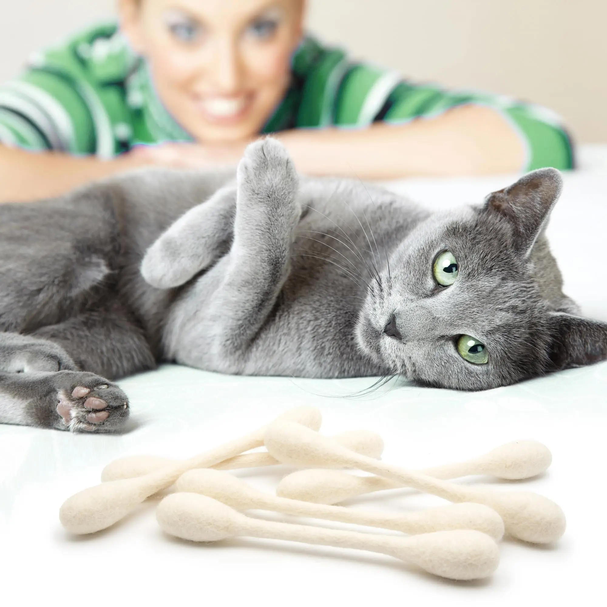 Creative toys for cats Large C - Catnip Toys 评论和价格