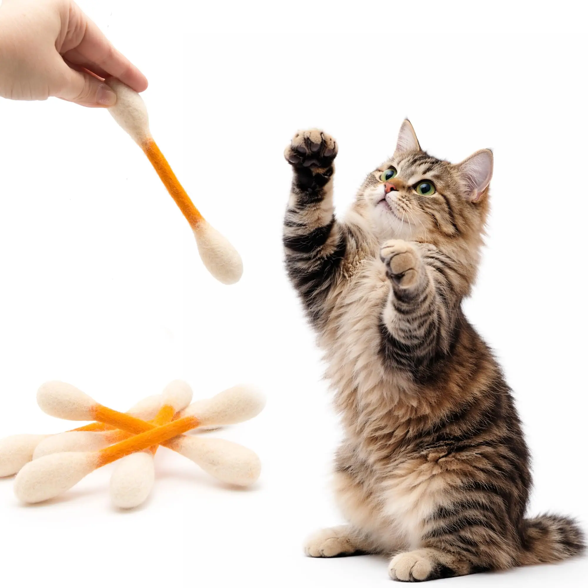 Creative toys for cats Large C - Catnip Toys 评论和价格