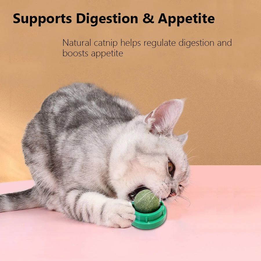 Spinning Catnip Mint Ball for  - Catnip Toys 评论和价格