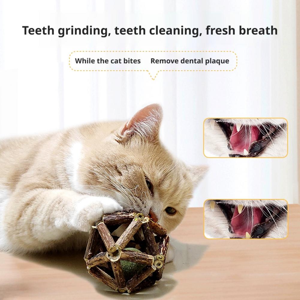 Catnip Ball Cat Interactive To - Catnip Toys 评论和价格