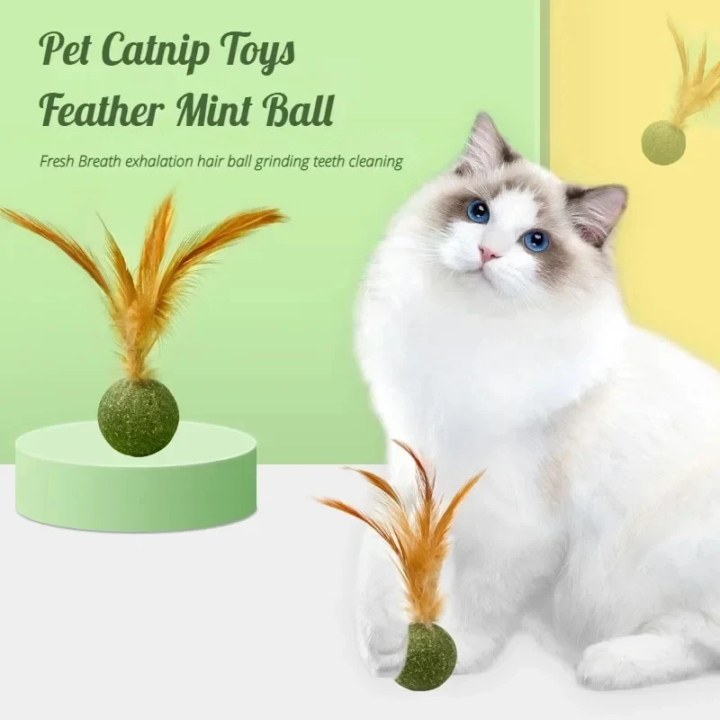 Pet Catnip Toys Edible Catnip  - Catnip Toys 评论和价格