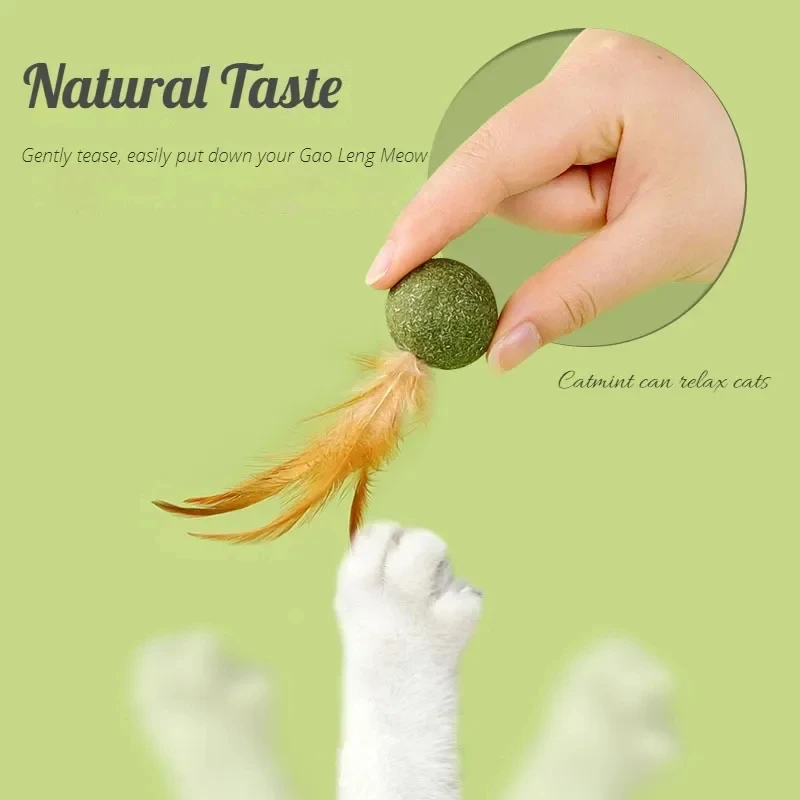 Pet Catnip Toys Edible Catnip  - Catnip Toys 评论和价格