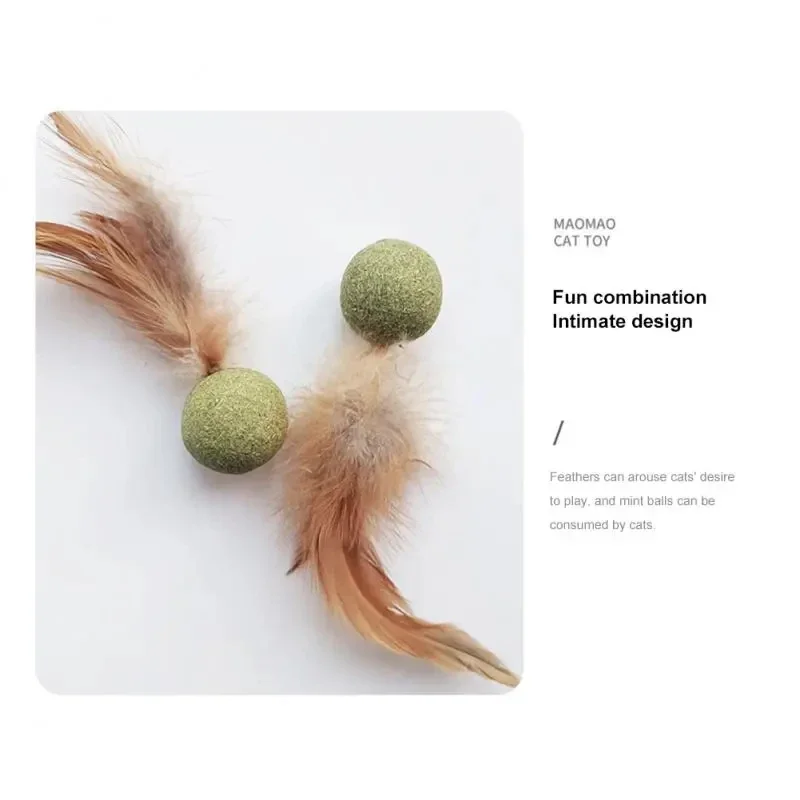 Pet Catnip Toys Edible Catnip  - Catnip Toys 评论和价格