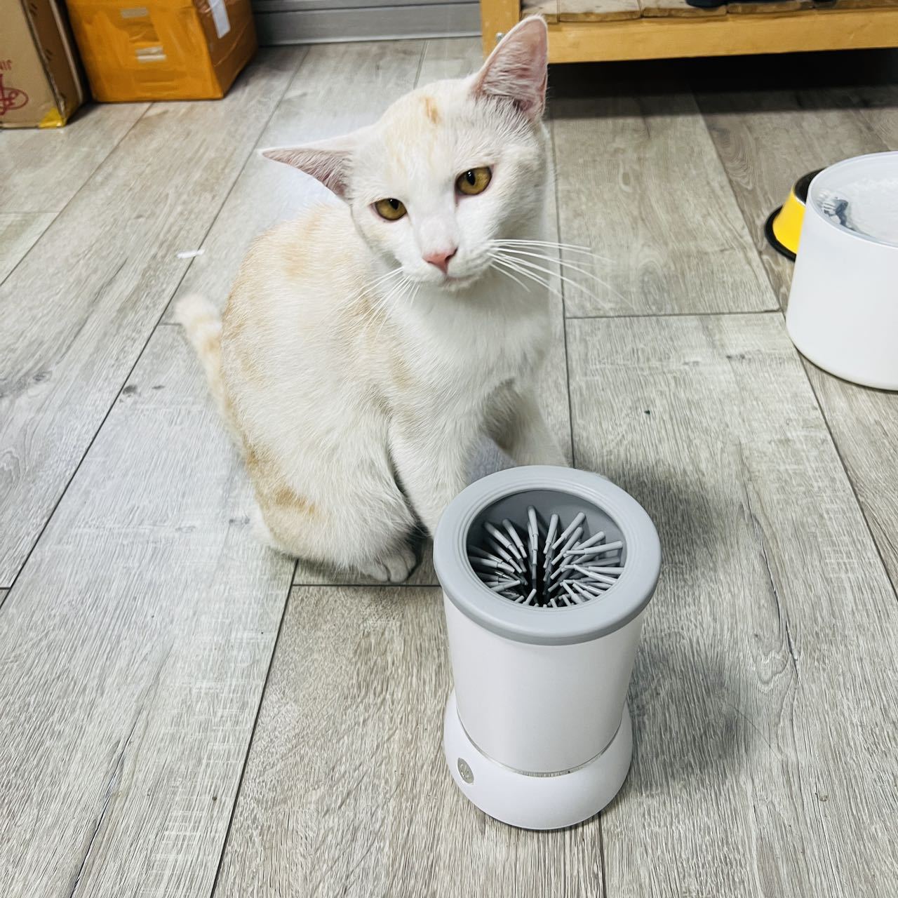Automatic Pet Paw Cleaner Cup, - Dog Paw Cleaner 评论和价格