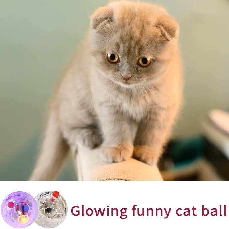 Cat Transparent Glowing Ball T - Catnip Toys 评论和价格