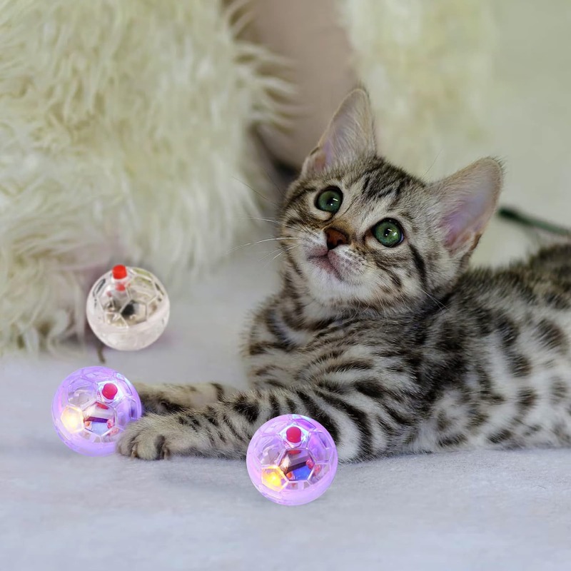 Cat Transparent Glowing Ball T - Catnip Toys 评论和价格