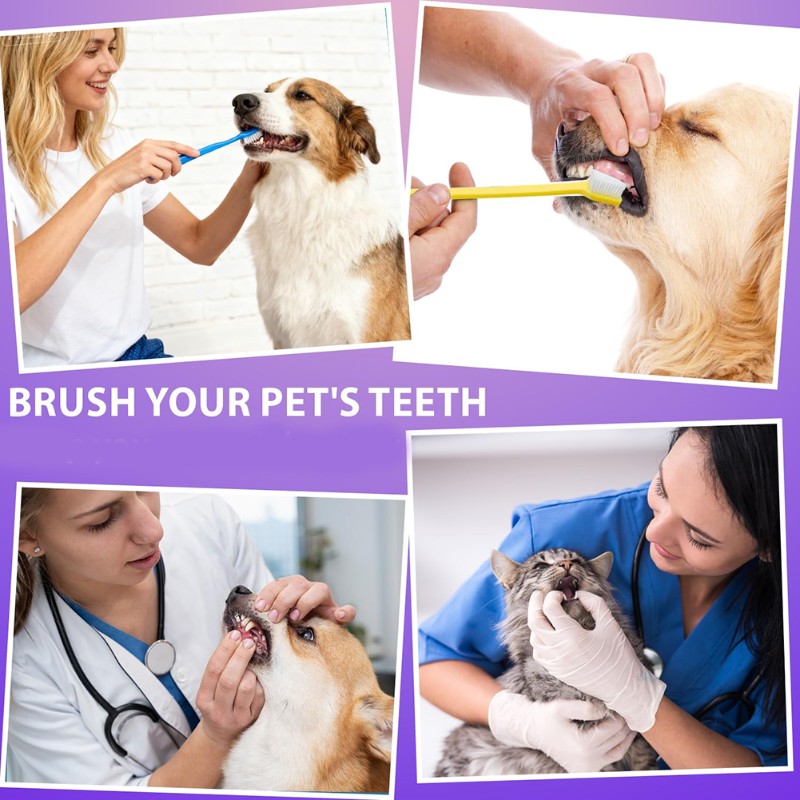 AB66-Dog Oral Hygiene Tool- 60 - Dog Paw Cleaner 评论和价格