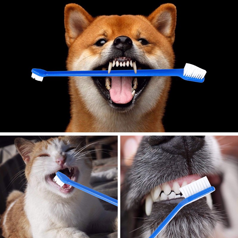 AB66-Dog Oral Hygiene Tool- 60 - Dog Paw Cleaner 评论和价格
